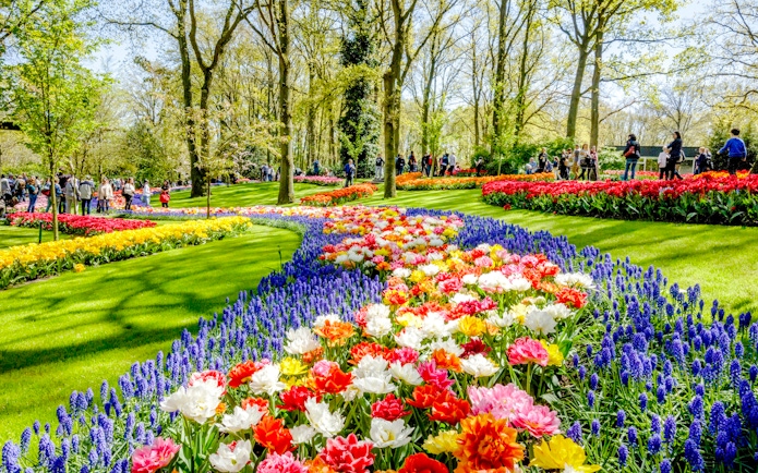 Visitors exploring vibrant tulip displays at Keukenhof Gardens, Amsterdam.