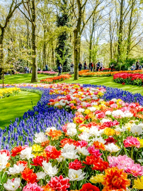 Visitors exploring vibrant tulip displays at Keukenhof Gardens, Amsterdam.