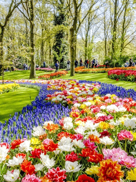 Visitors exploring vibrant tulip displays at Keukenhof Gardens, Amsterdam.