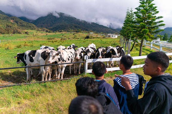 mount kinabalu 4-in-1 guided day tour with lunch-10