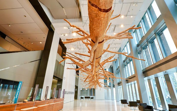 Sculpture of a tree installation in the lobby of Seattle Art Museum.
