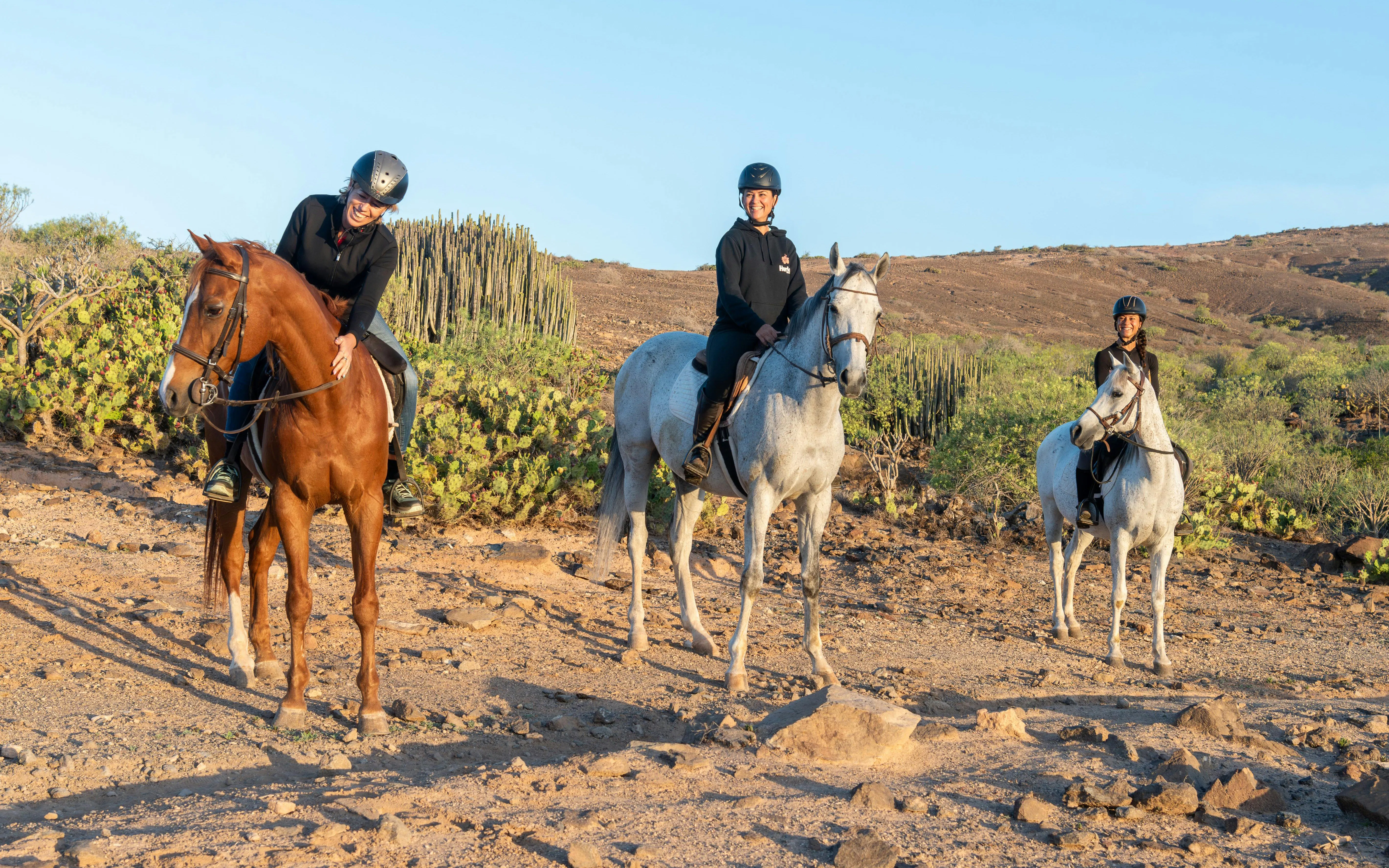 Horse riders on a volcanic trail in Gran Canaria with desert landscape.