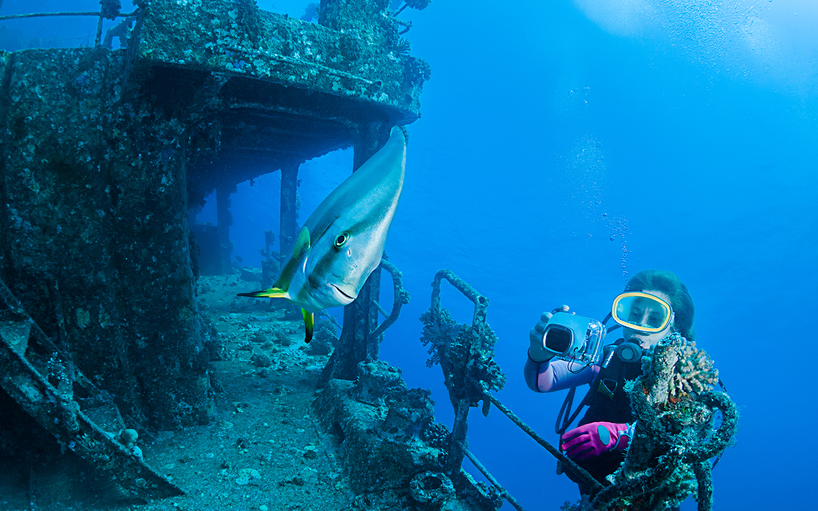 Abu Nuhas in Hurghada