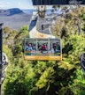 Scenic World