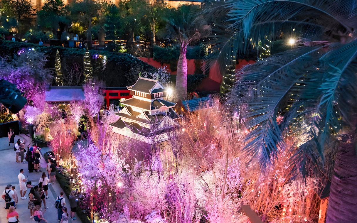 Gardens by the Bay cherry blossom display with illuminated pagoda and visitors.