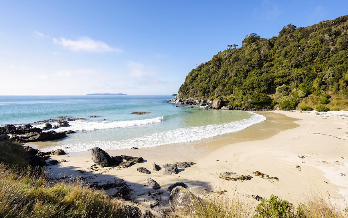 Stewart Island beach with lush greenery and rocky shoreline.