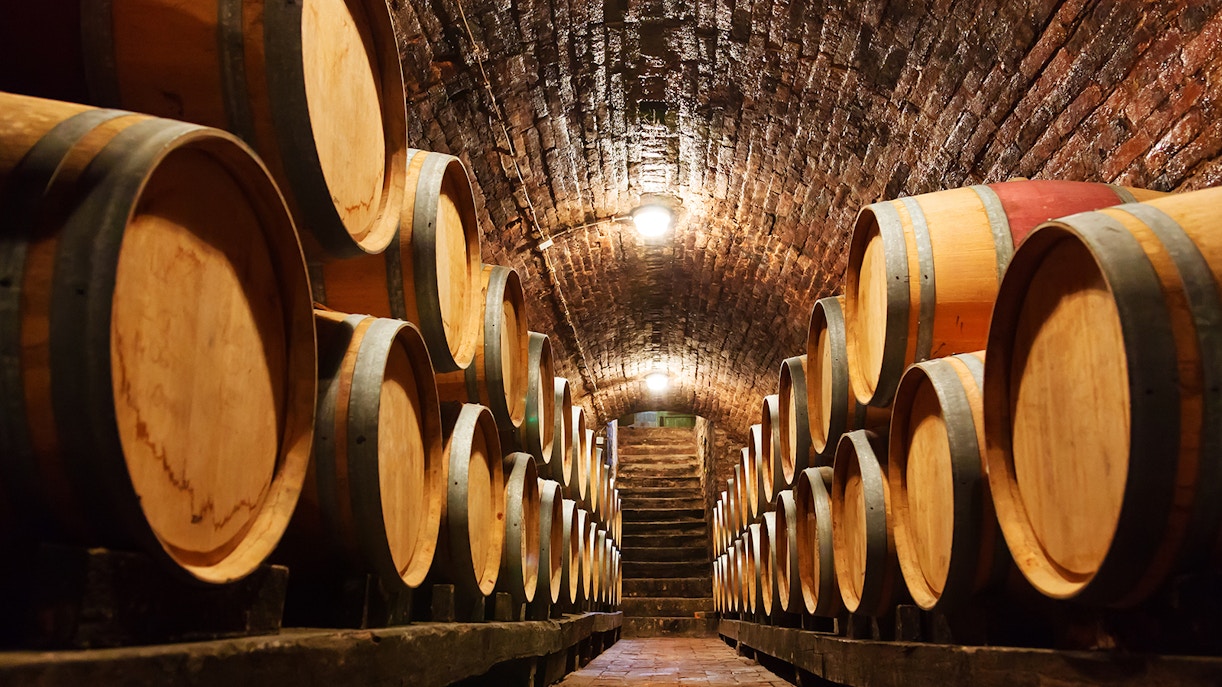Oak barrels in a underground wine cellar