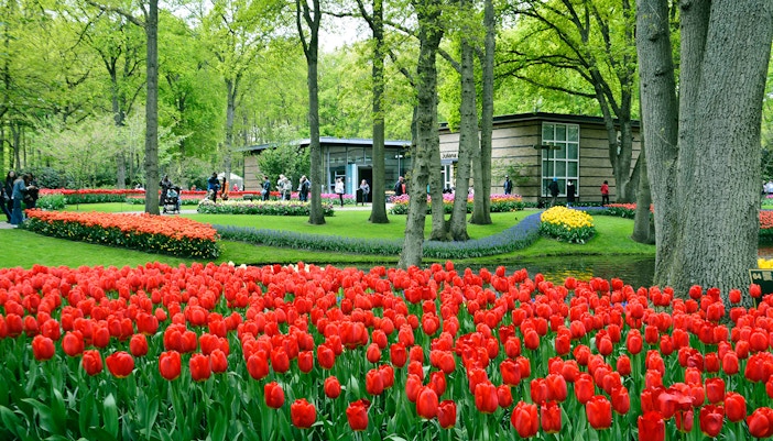 parc keukenhof