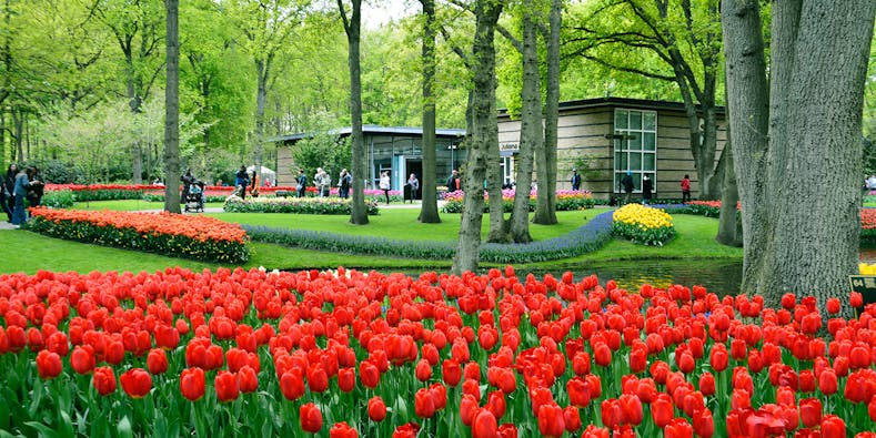 Keukenhof-Tickets