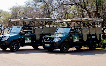 Safari vehicles at Pilanesberg National Park ready for wildlife tours.
