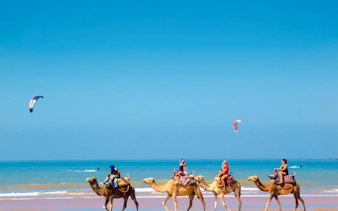 essaouira guided walking tour: skala du port, medina ramparts and fish market-4