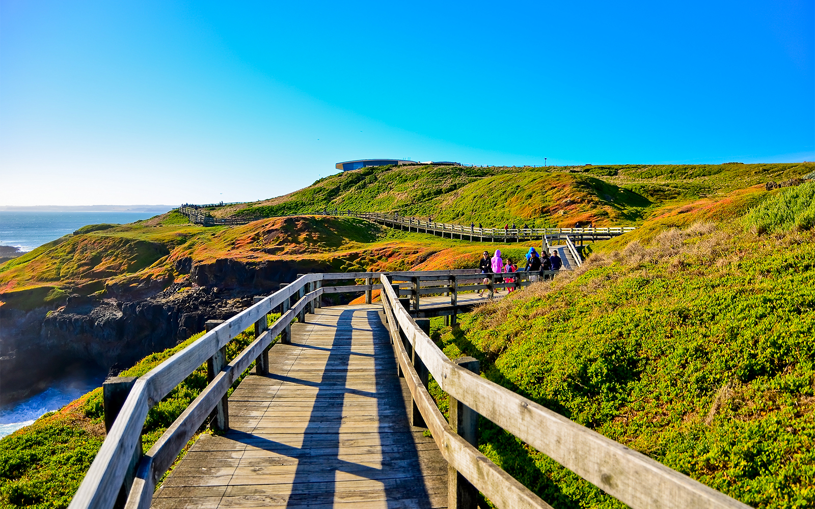 Wooden boardwalk on Churchill Island with visitors exploring coastal landscape.