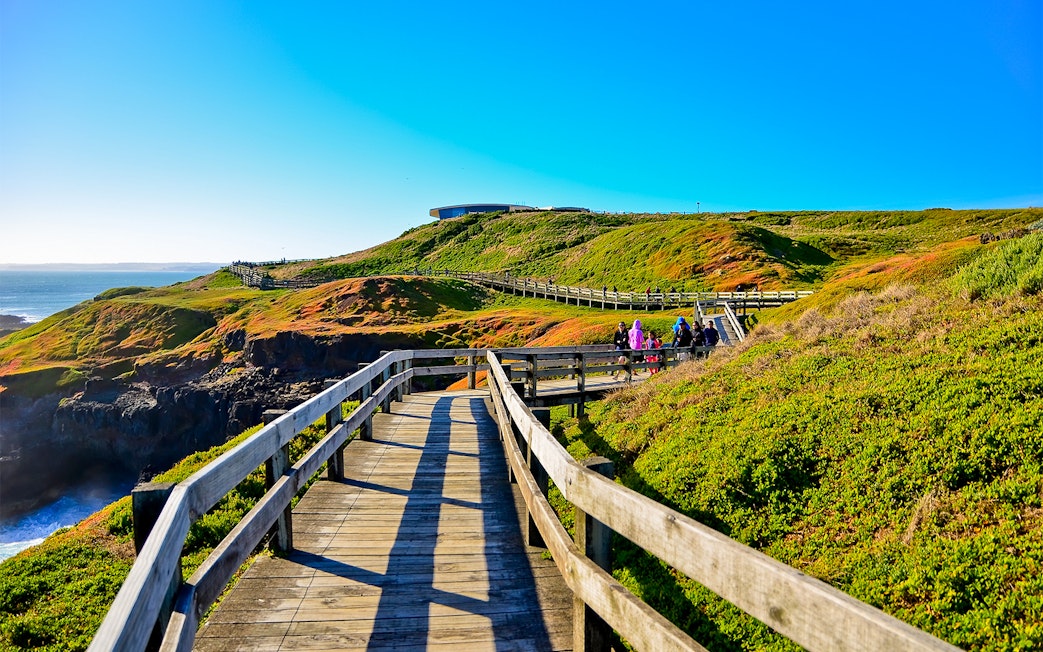 Wooden boardwalk on Churchill Island with visitors exploring coastal landscape.