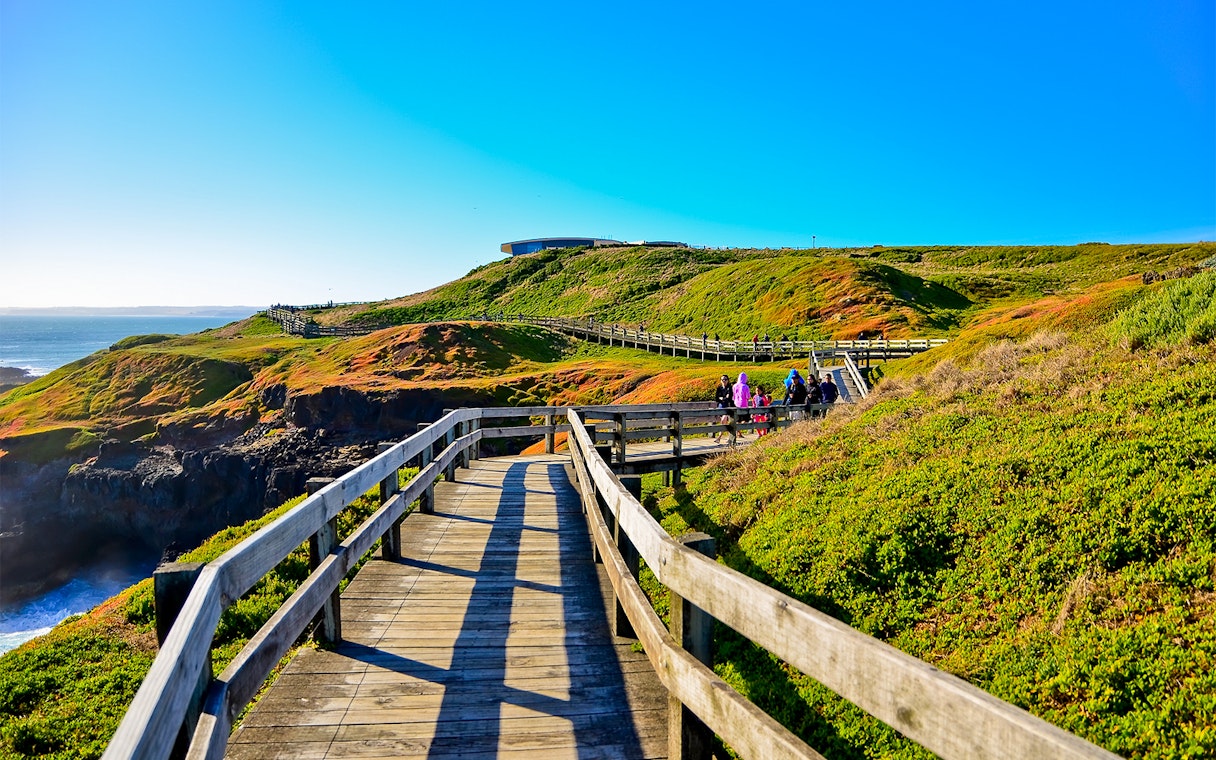Wooden boardwalk on Churchill Island with visitors exploring coastal landscape.