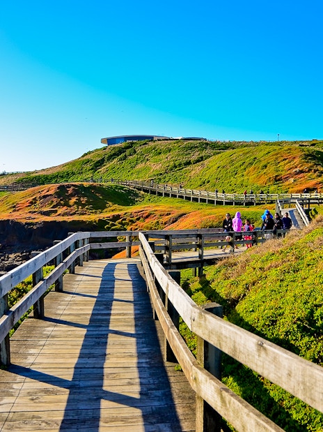 Wooden boardwalk on Churchill Island with visitors exploring coastal landscape.