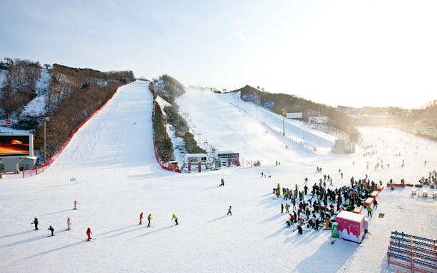 Skiers at Vivaldi Park Ski World with snowy slopes, part of a day trip from Seoul to Nami Island.