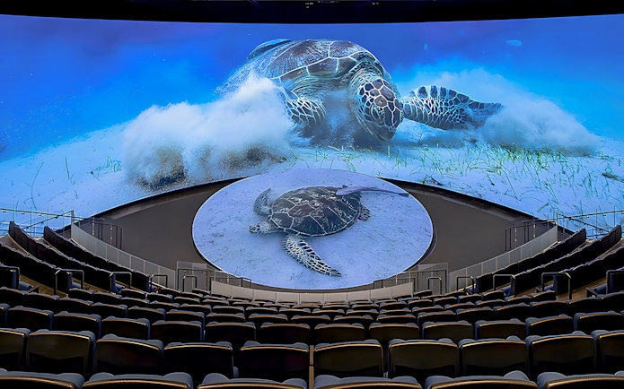 Aquarium of the Pacific theater with sea turtle display on screen.
