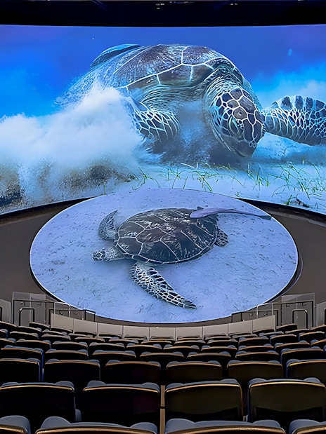 Aquarium of the Pacific theater with sea turtle display on screen.