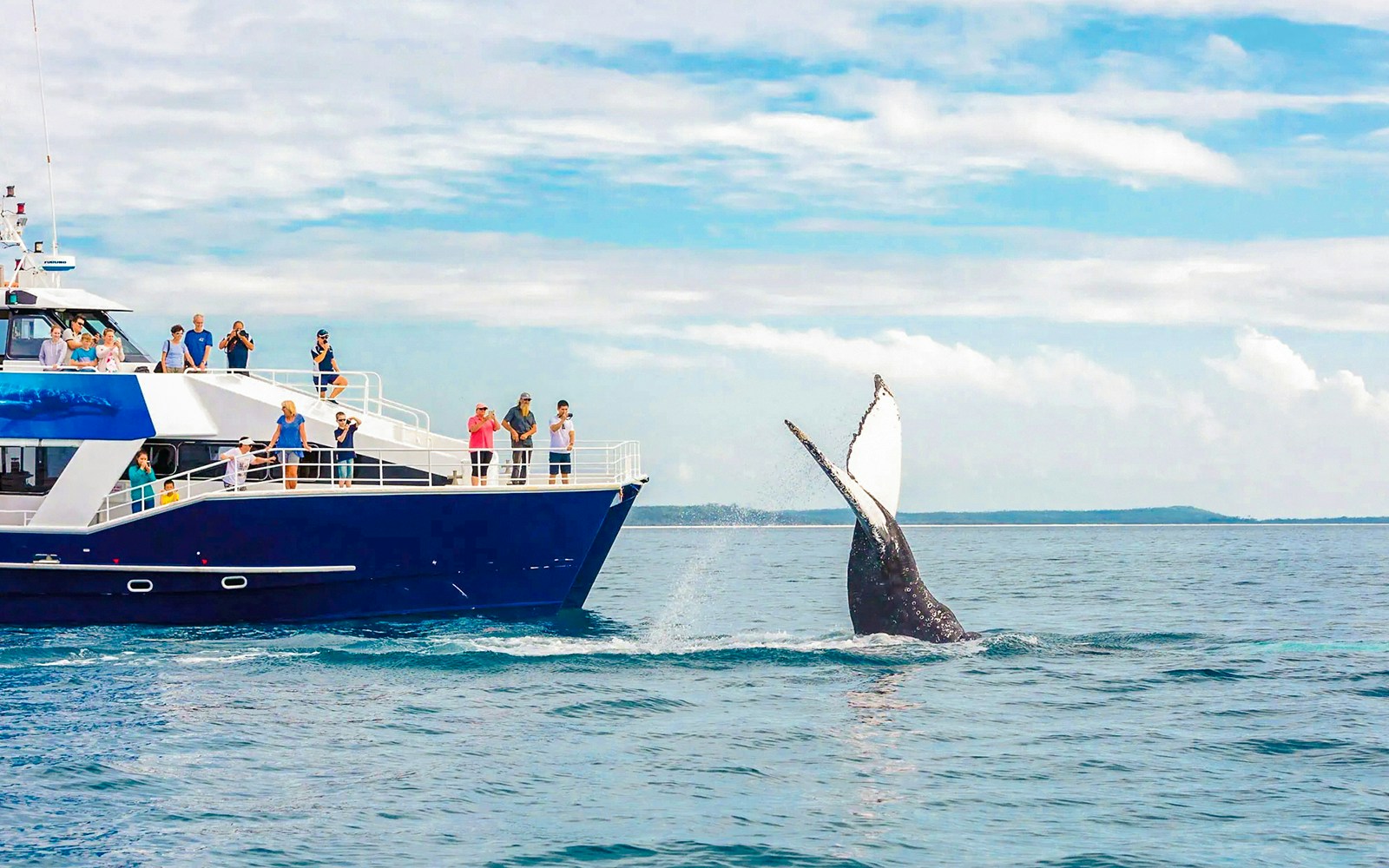 Tourists on a ship watching a whale near Fraser Island, K'gari.