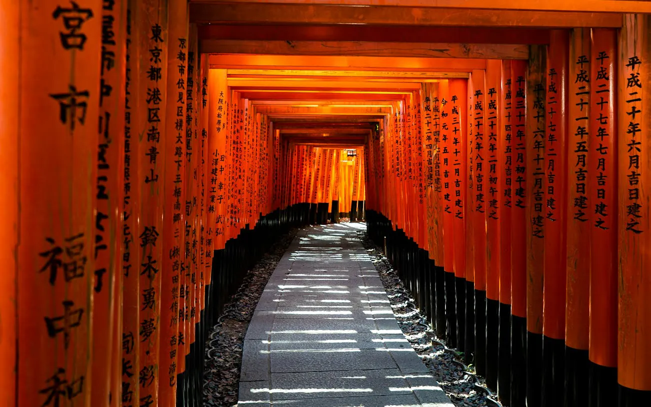 Fushimi Inari's torii gate path illuminated at night, Kyoto.