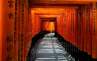 Fushimi Inari's torii gate path illuminated at night, Kyoto.