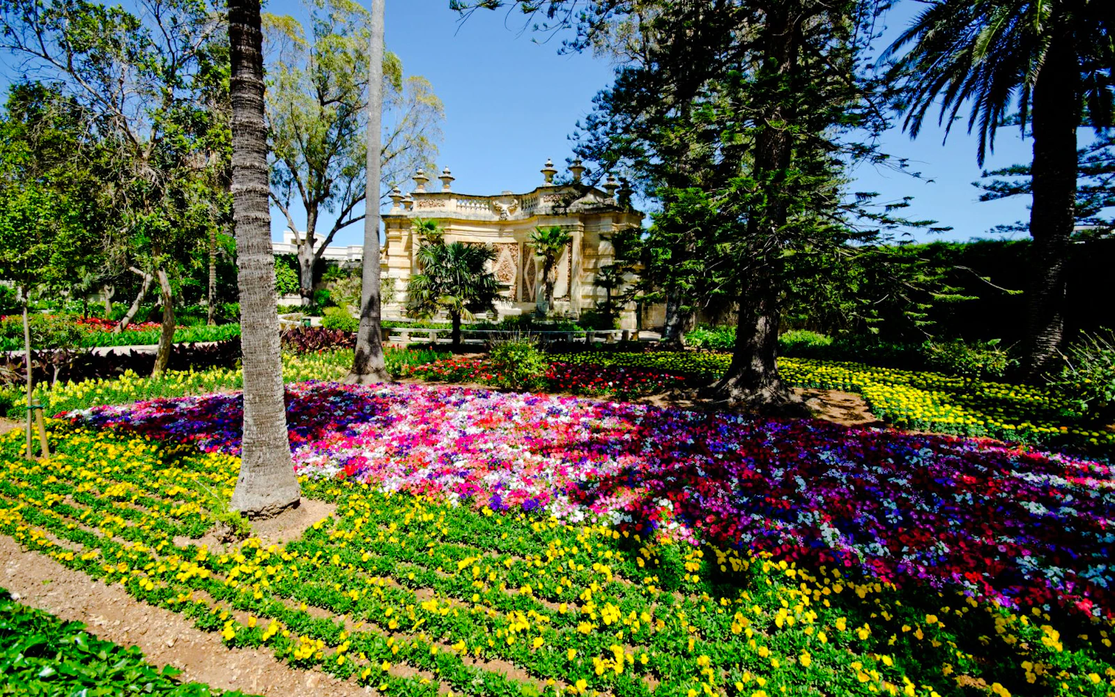 Mdina, Dingli Cliffs, and San Anton Gardens Guided Tour