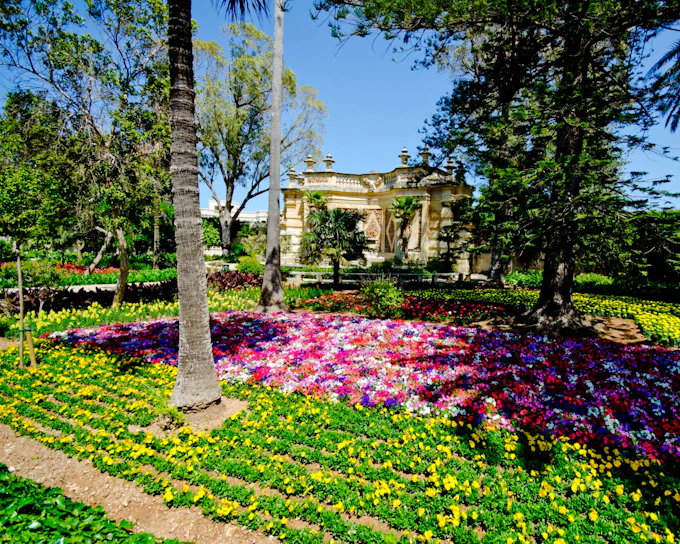 Mdina, Dingli Cliffs, and San Anton Gardens Guided Tour