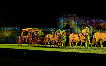 Horse-drawn carriage in The Dream of Toledo night show, Spain.