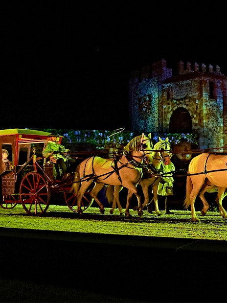 Horse-drawn carriage in The Dream of Toledo night show, Spain.