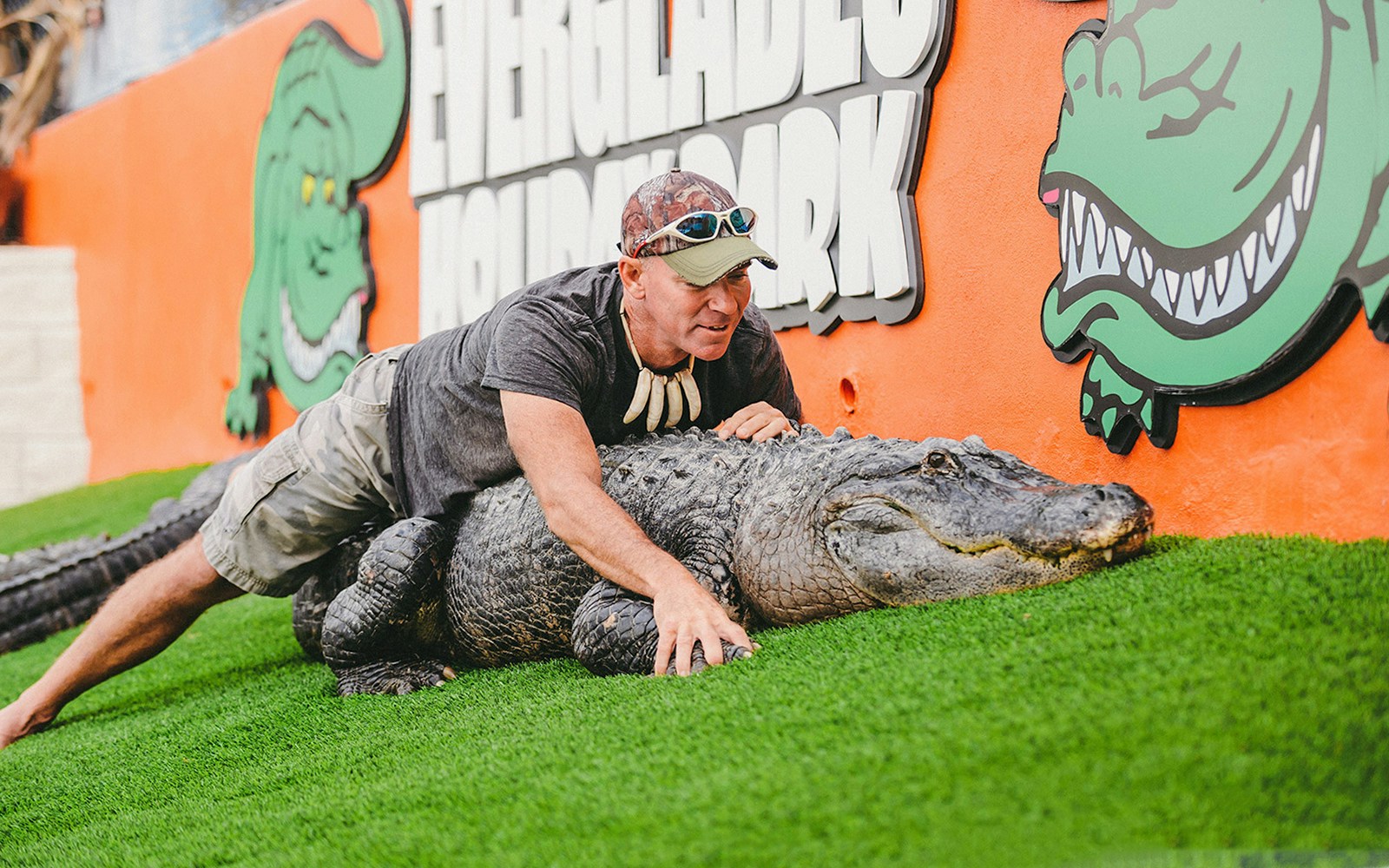 Live alligator show