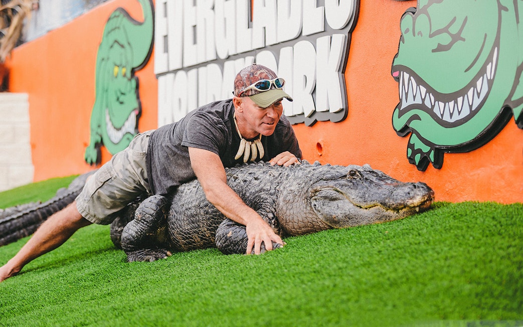 Man interacting with an alligator at Everglades Holiday Park during an airboat tour.