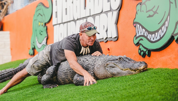 Man interacting with an alligator at Everglades Holiday Park during an airboat tour.