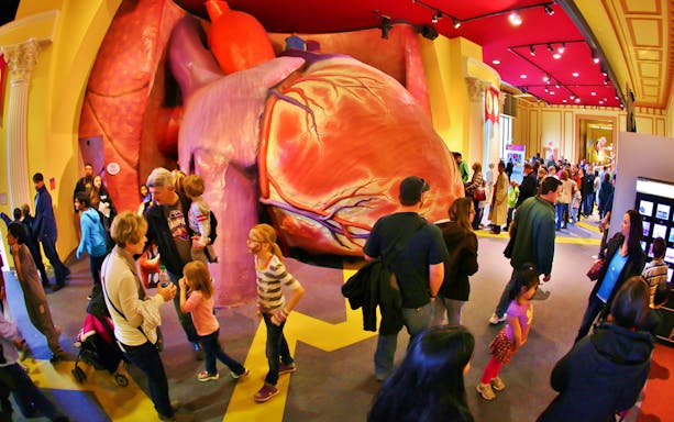 Visitors exploring the giant heart exhibit at the Franklin Institute, Philadelphia.