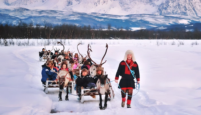 Reindeer sledding with Sami guide in snowy landscape, showcasing Sami culture.