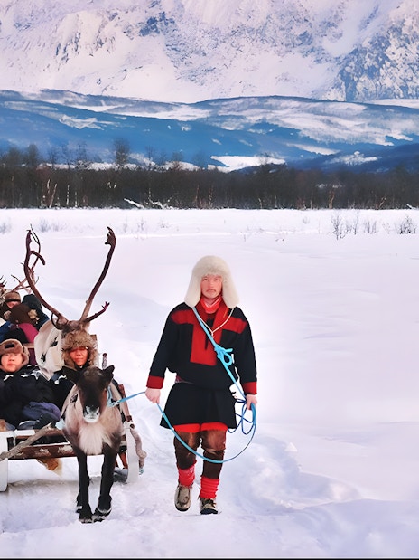 Reindeer sledding with Sami guide in snowy landscape, showcasing Sami culture.