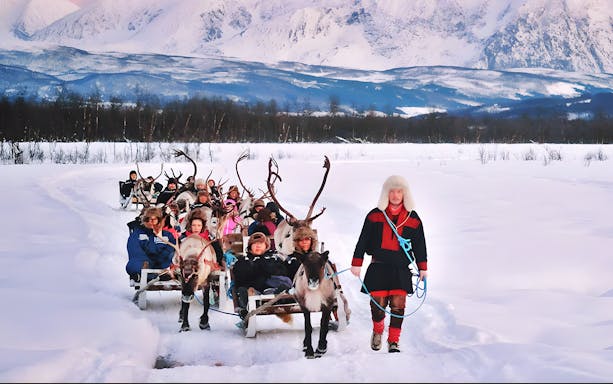 Reindeer sledding with Sami guide in snowy landscape, showcasing Sami culture.