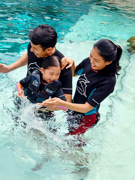 Family interacting with a dolphin at Dolphin Discovery Show.