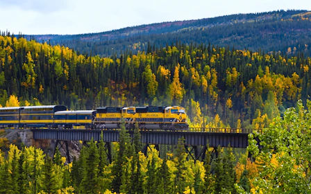 Alaska Railroad Aurora Winter Train: Denali to/from Fairbanks Train Tickets