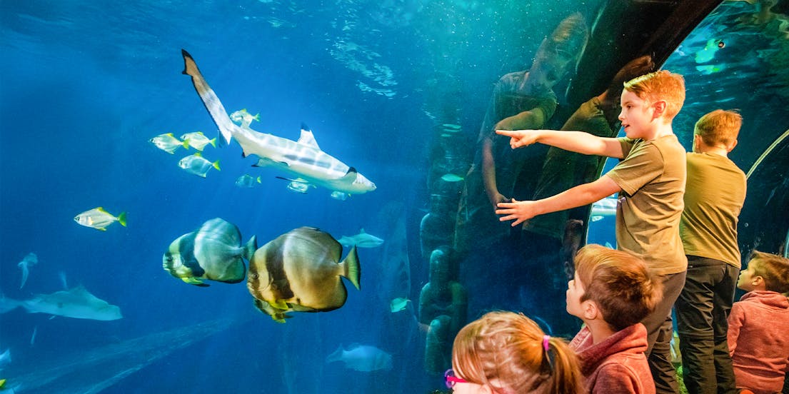 SEA LIFE Speyer