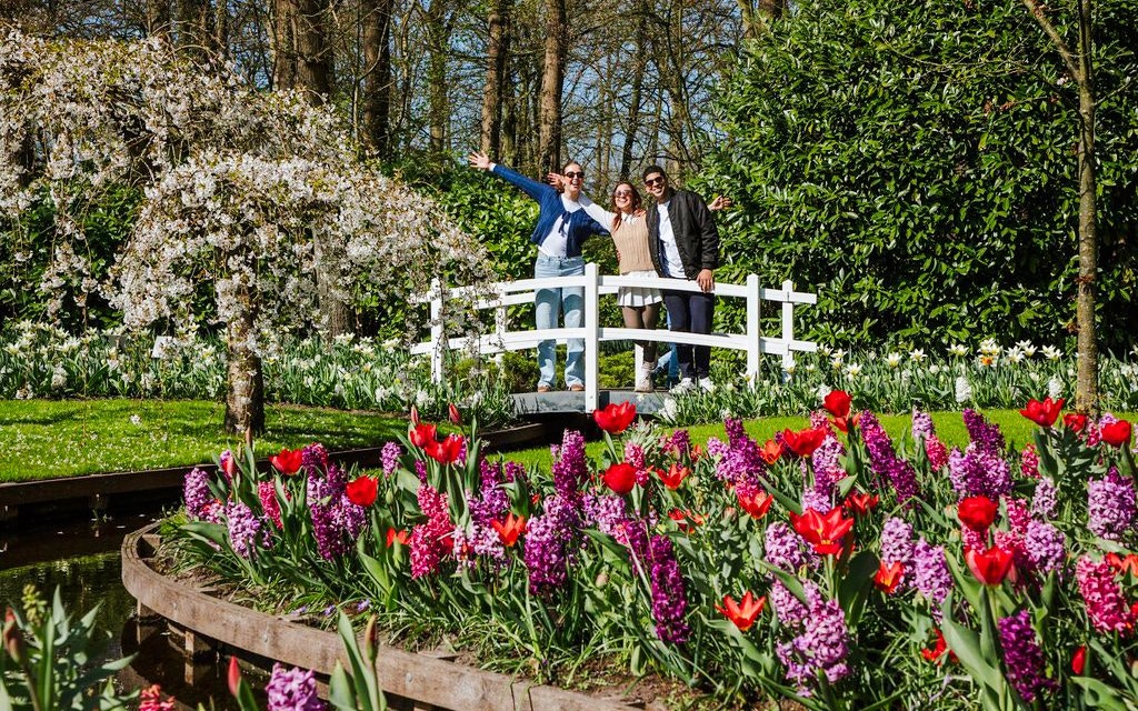 Visitors on a bridge with tulips and hyacinths at Keukenhof Gardens, Amsterdam.