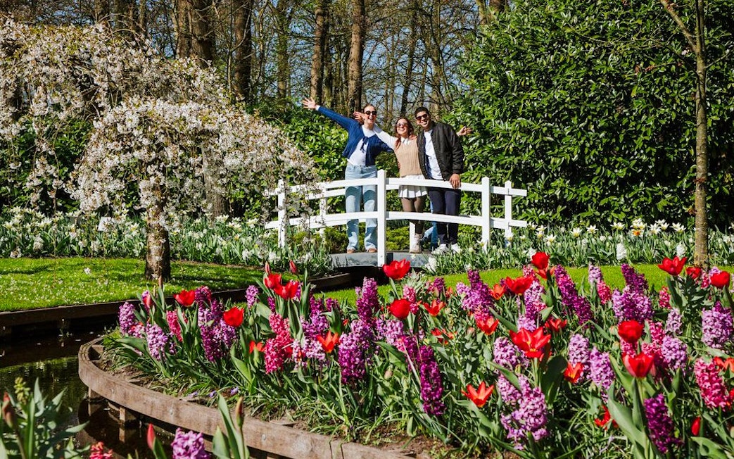 Visitors on a bridge with tulips and hyacinths at Keukenhof Gardens, Amsterdam.