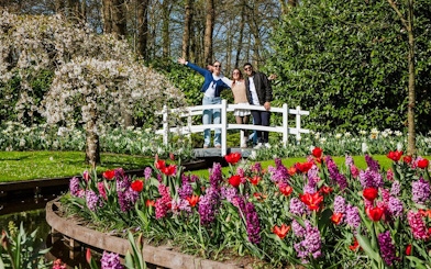 Visitors on a bridge with tulips and hyacinths at Keukenhof Gardens, Amsterdam.
