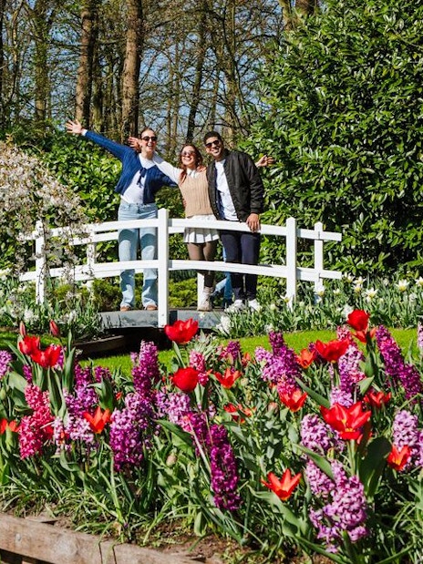 Visitors on a bridge with tulips and hyacinths at Keukenhof Gardens, Amsterdam.