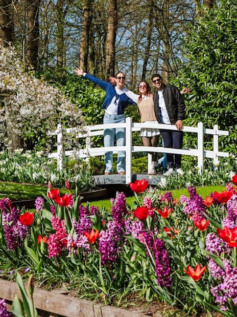 Visitors on a bridge with tulips and hyacinths at Keukenhof Gardens, Amsterdam.
