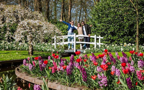 Visitors on a bridge with tulips and hyacinths at Keukenhof Gardens, Amsterdam.