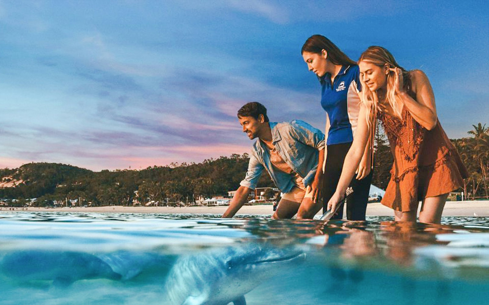 People interacting with dolphins in shallow water on Moreton Island.