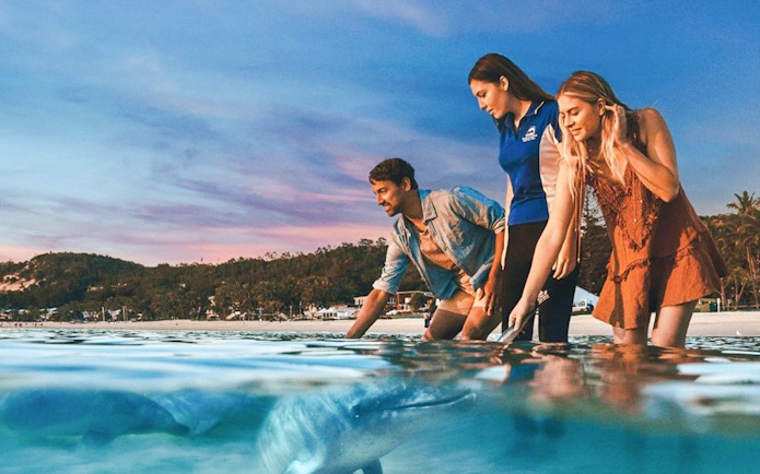 People interacting with dolphins in shallow water on Moreton Island.