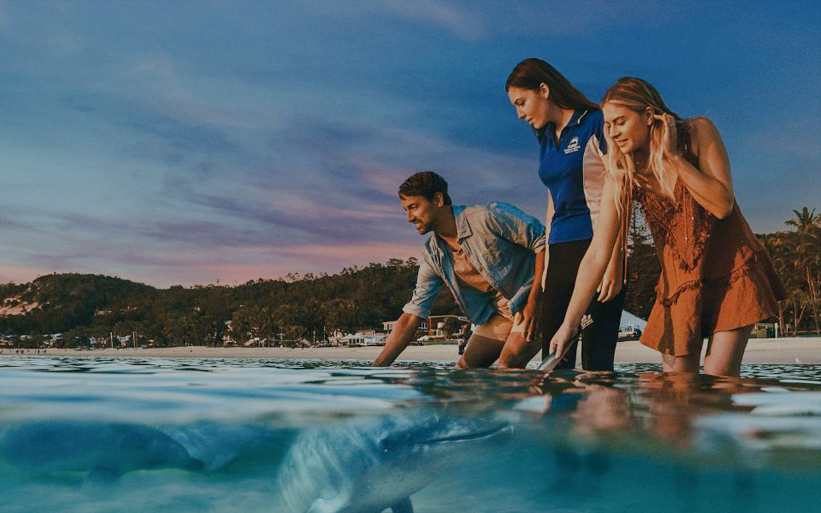 People interacting with dolphins in shallow water on Moreton Island.