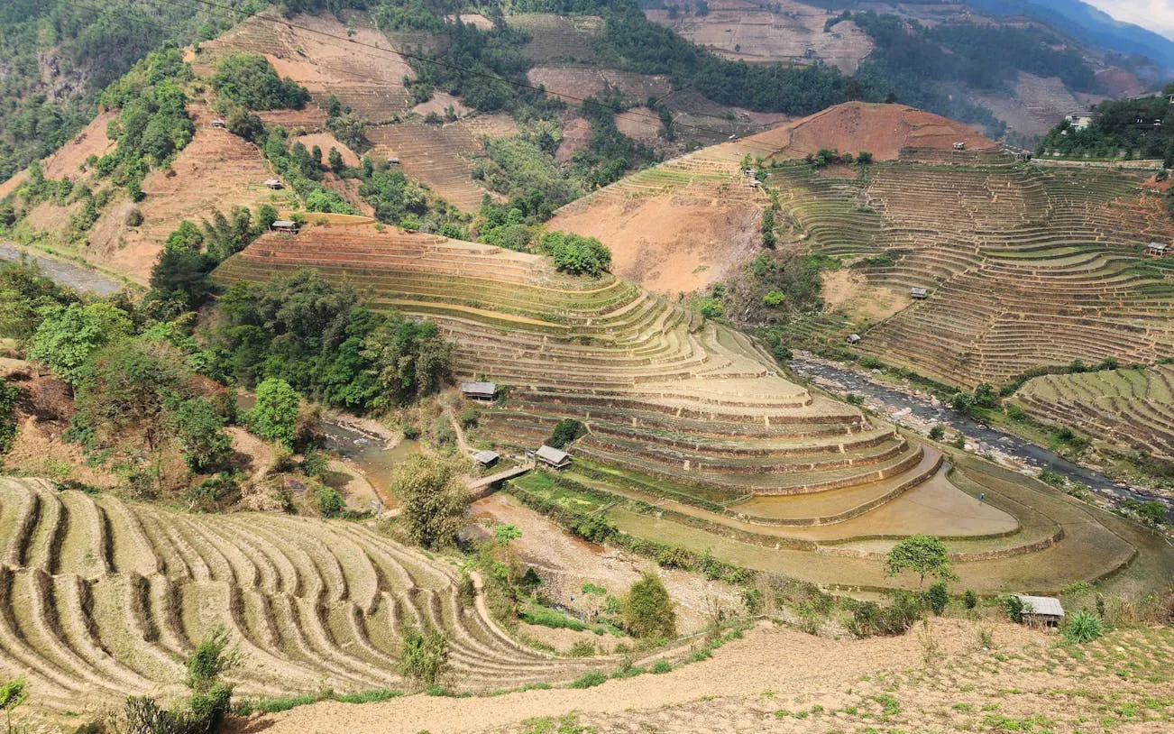 Terraced rice fields in Sapa, Vietnam, viewed from above, showcasing lush greenery and winding paths.