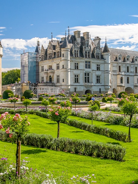 Chenonceau Castle with gardens in Loire Valley, featuring manicured lawns and blooming flowers.